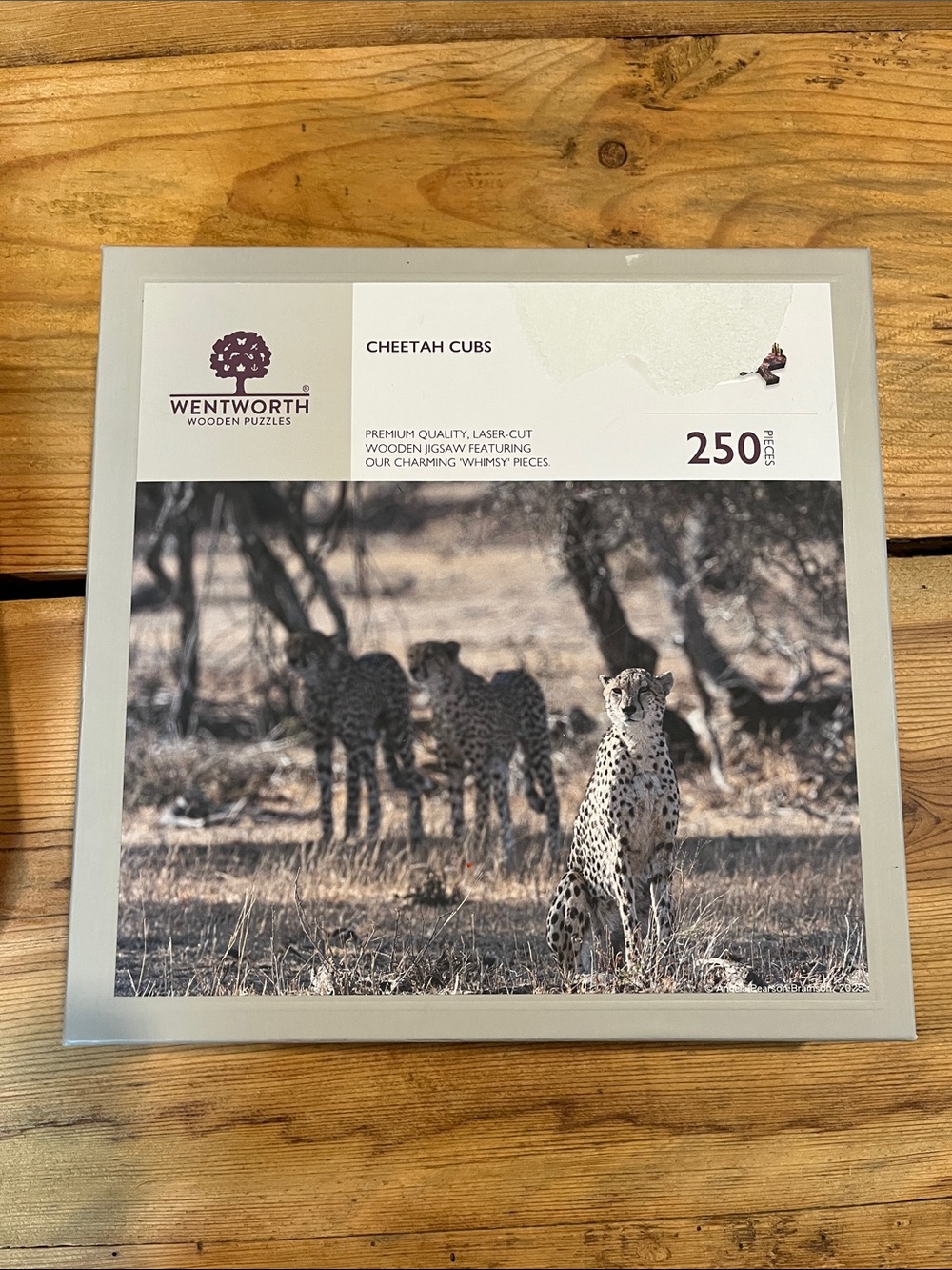 WENTWORTH 250 Piece Wooden Jigsaw Puzzle "Cheetah Cubs"